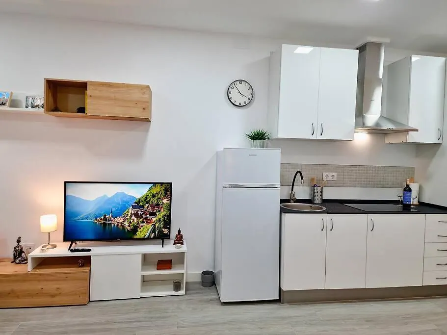 Apartamentos Bielsa 'Madrid Río'-1